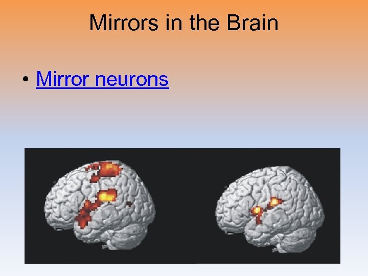 Mirrors in the Brain • Mirror neurons 