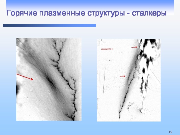 Горячие плазменные структуры - сталкеры 12 
