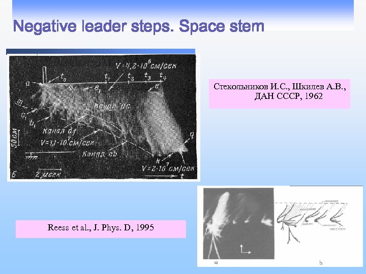 Negative leader steps. Space stem Стекольников И. С. , Шкилев А. В. , ДАН