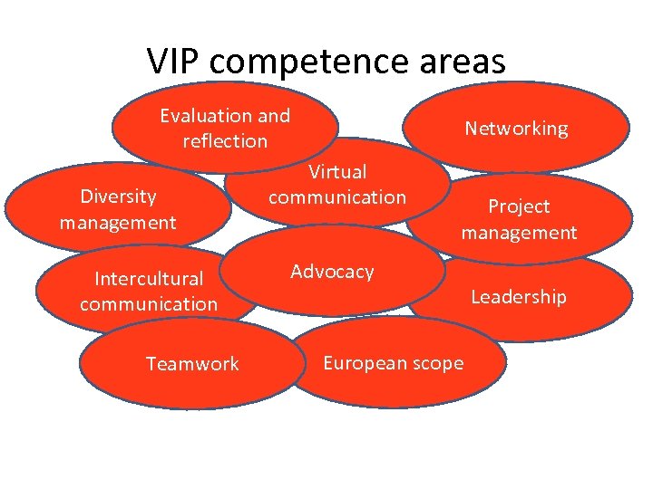 VIP competence areas Evaluation and reflection Diversity management Intercultural communication Teamwork Networking Virtual communication