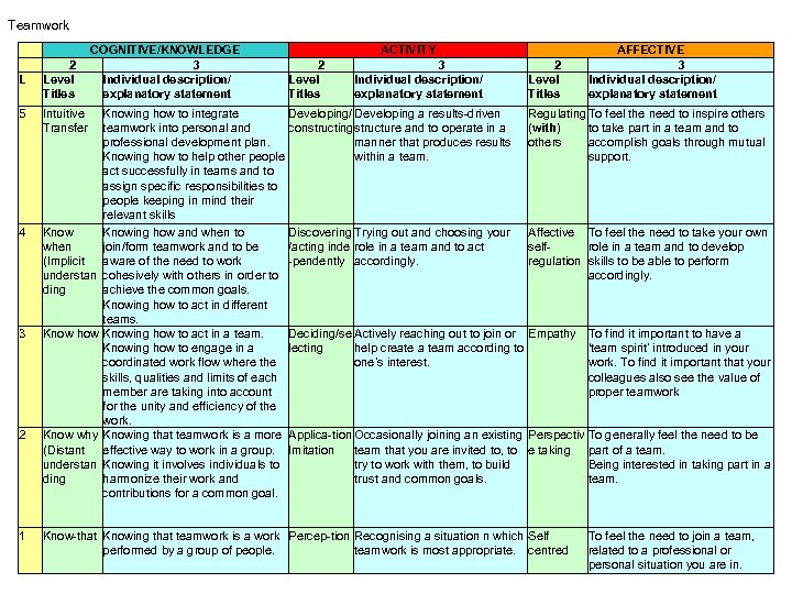 Teamwork L 2 Level Titles COGNITIVE/KNOWLEDGE 3 Individual description/ explanatory statement ACTIVITY 2 Level