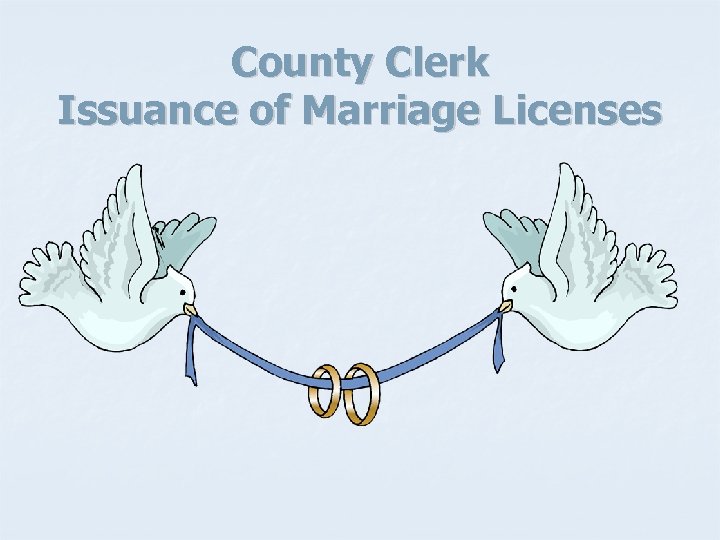 County Clerk Issuance of Marriage Licenses 