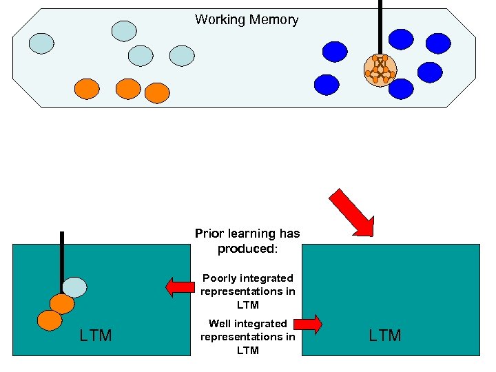 Working Memory Prior learning has produced: Poorly integrated representations in LTM Well integrated representations