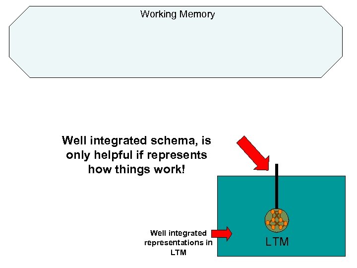 Working Memory Well integrated schema, is only helpful if represents how things work! Well