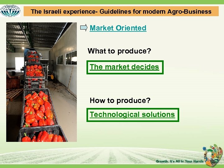 The Israeli experience- Guidelines for modern Agro-Business Market Oriented What to produce? The market