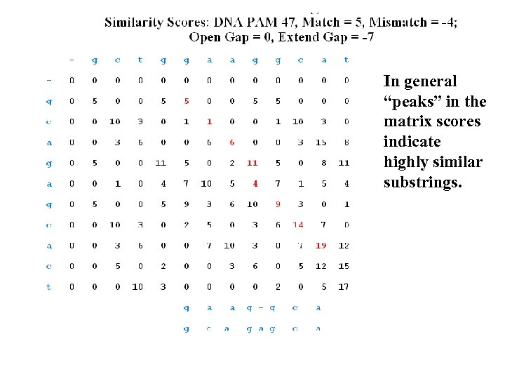 In general “peaks” in the matrix scores indicate highly similar substrings. 