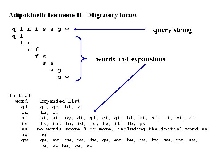 query string words and expansions 