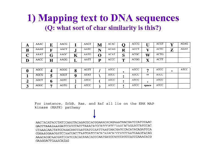 1) Mapping text to DNA sequences (Q: what sort of char similarity is this?