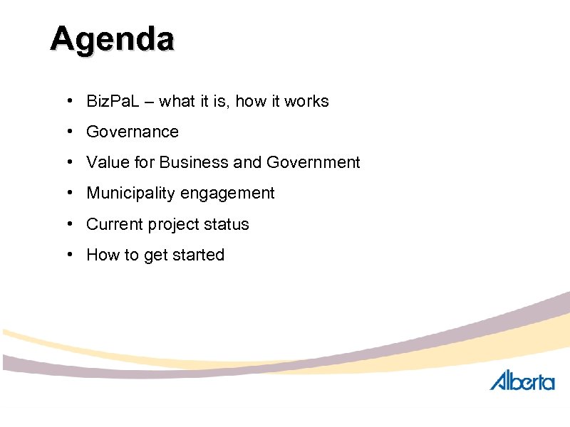 Agenda • Biz. Pa. L – what it is, how it works • Governance