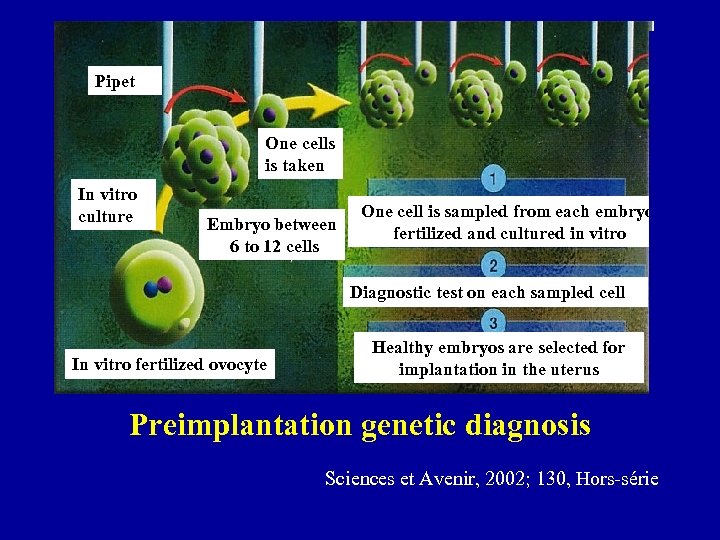 Pipet One cells is taken In vitro culture Embryo between 6 to 12 cells
