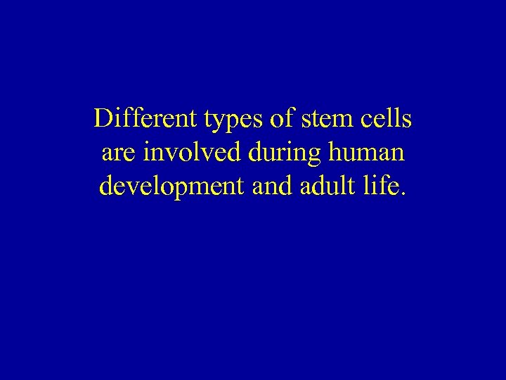 Different types of stem cells are involved during human development and adult life. 