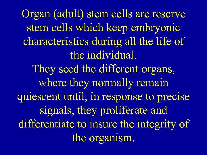 Organ (adult) stem cells are reserve stem cells which keep embryonic characteristics during all