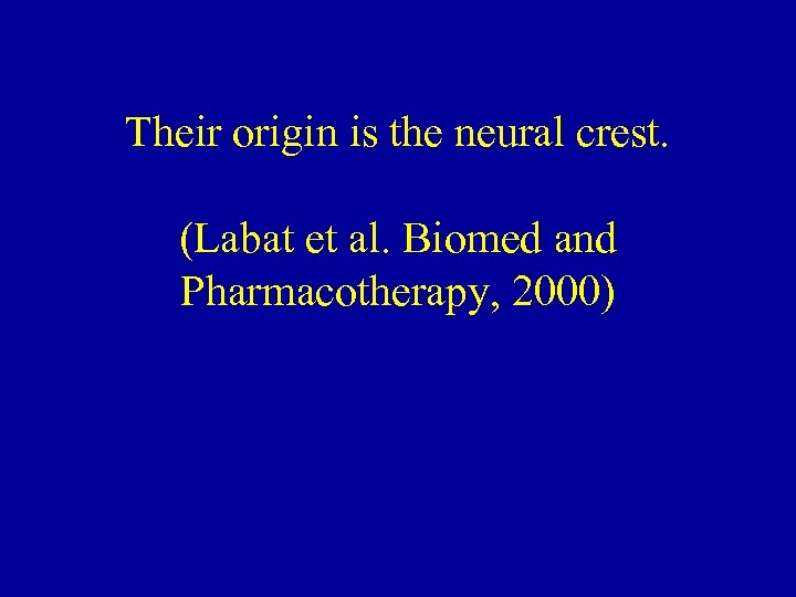 Their origin is the neural crest. (Labat et al. Biomed and Pharmacotherapy, 2000) 