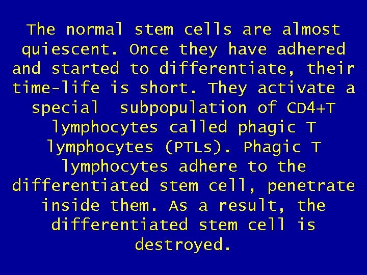 The normal stem cells are almost quiescent. Once they have adhered and started to