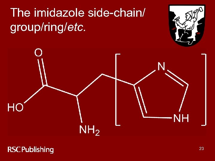 The imidazole side-chain/ group/ring/etc. 23 