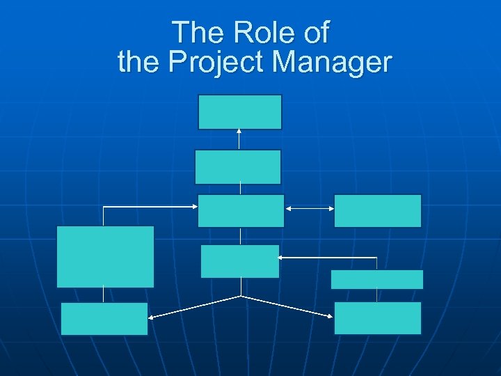 The Role of the Project Manager 