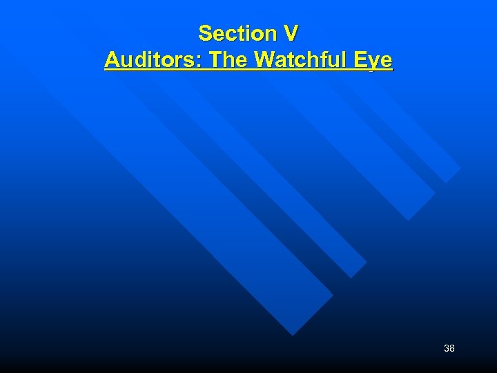 Section V Auditors: The Watchful Eye 38 