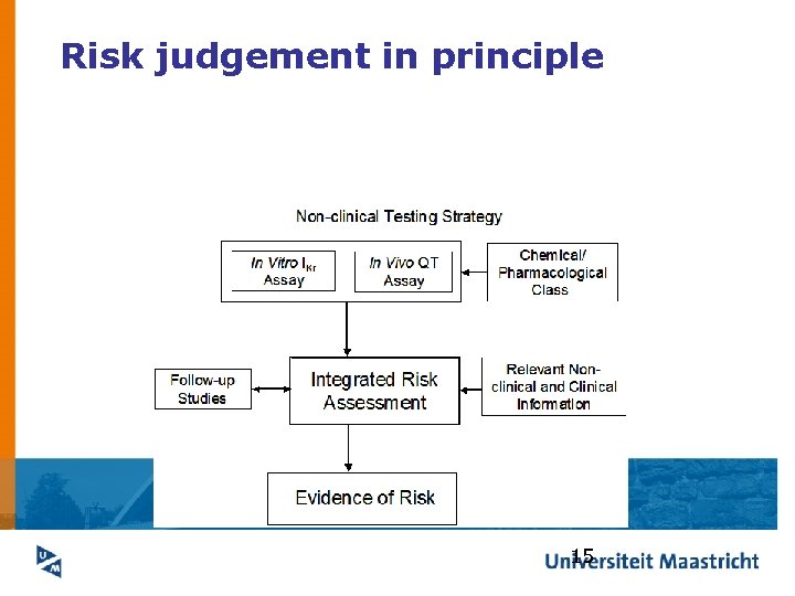 Risk judgement in principle 15 