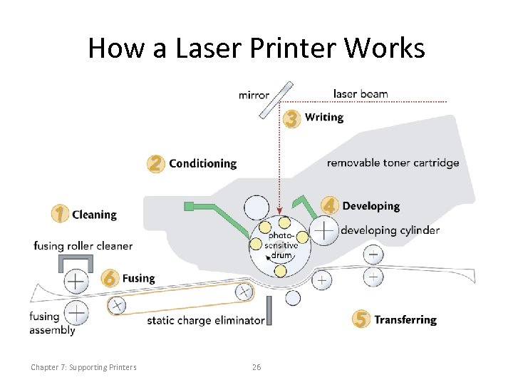 How a Laser Printer Works Chapter 7: Supporting Printers 26 
