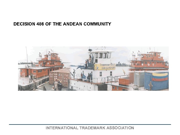DECISION 486 OF THE ANDEAN COMMUNITY INTERNATIONAL TRADEMARK ASSOCIATION 