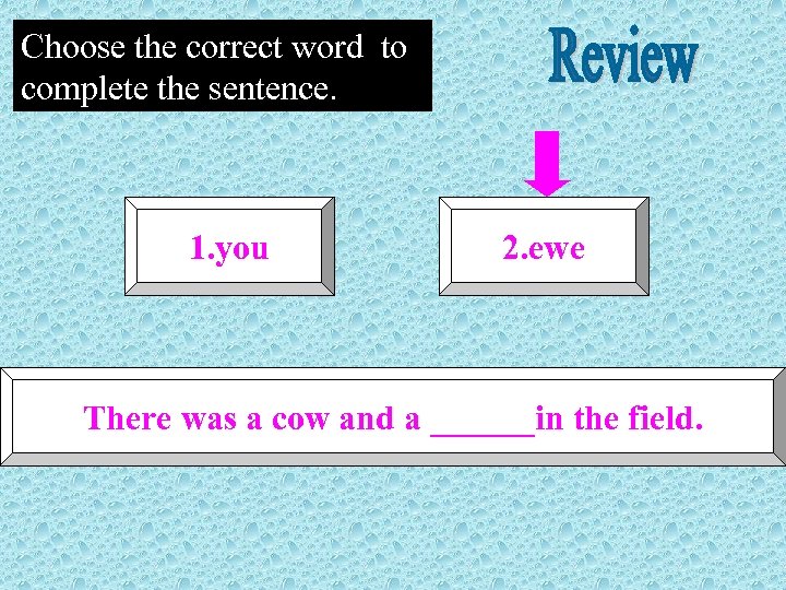 Choose the correct word to complete the sentence. 1. you 2. ewe There was