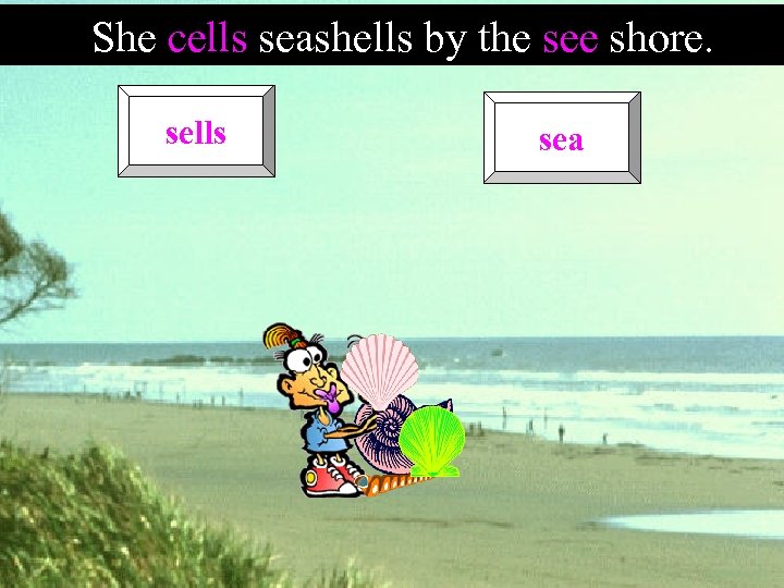 She cells seashells by the see shore. sells sea 