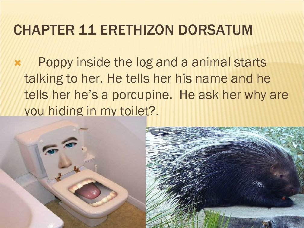 CHAPTER 11 ERETHIZON DORSATUM Poppy inside the log and a animal starts talking to