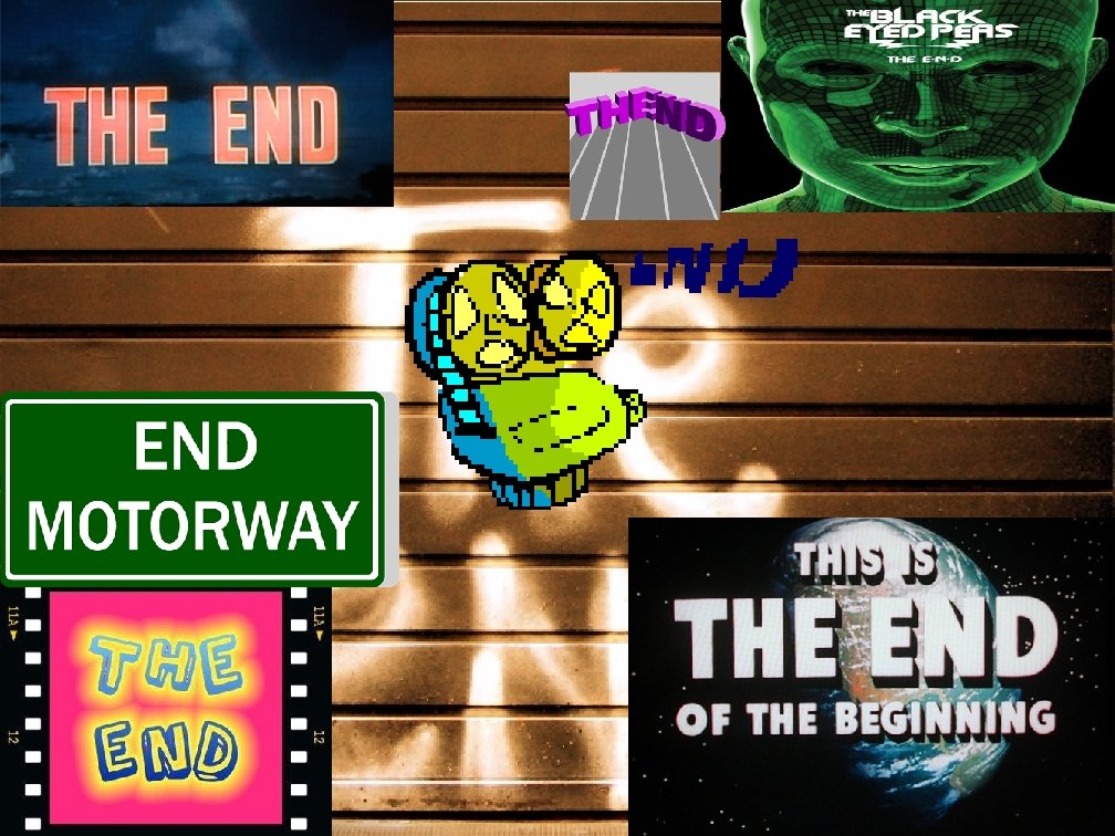 THE END 