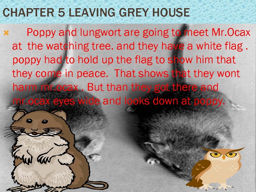 CHAPTER 5 LEAVING GREY HOUSE Poppy and lungwort are going to meet Mr. Ocax