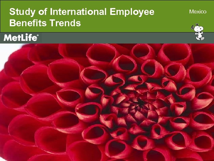 Study of International Employee Benefits Trends Metropolitan Life Insurance Company 200 Park Avenue, New