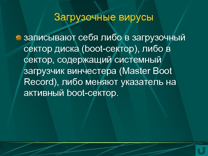 Загрузочные вирусы записывают себя либо в загрузочный сектор диска (boot-сектор), либо в сектор, содержащий