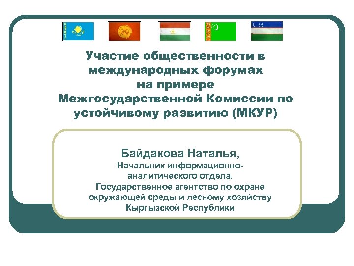 Участие общественности в международных форумах на примере Межгосударственной Комиссии по устойчивому развитию (МКУР) Байдакова