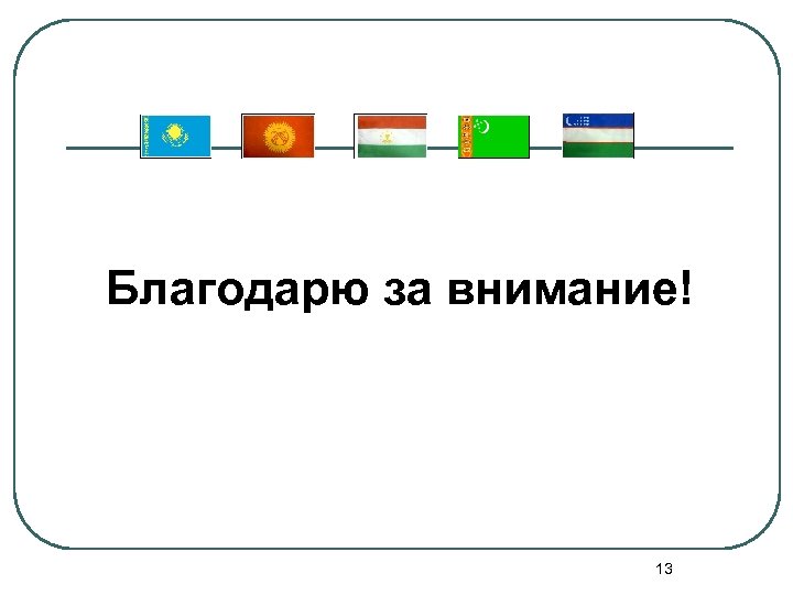 Благодарю за внимание! 13 