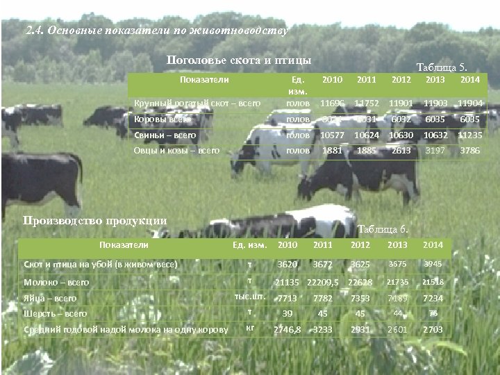 2. 4. Основные показатели по животноводству Поголовье скота и птицы Показатели Таблица 5. 2010
