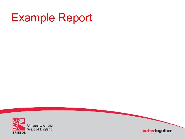 Example Report 