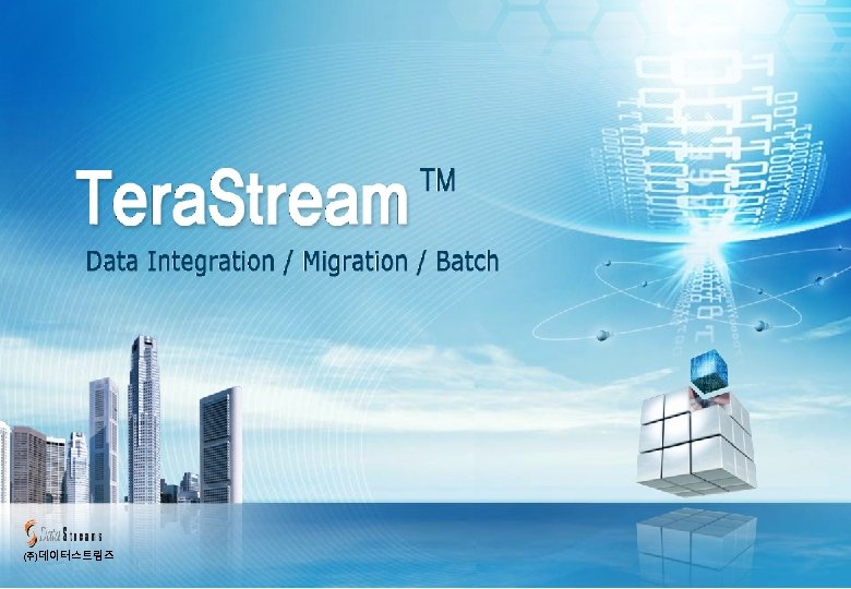 (주)데이터스트림즈 