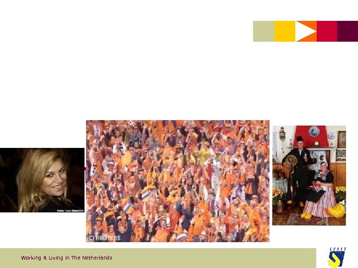 How to cope with: ‘The Dutchman’ Working & Living in The Netherlands 