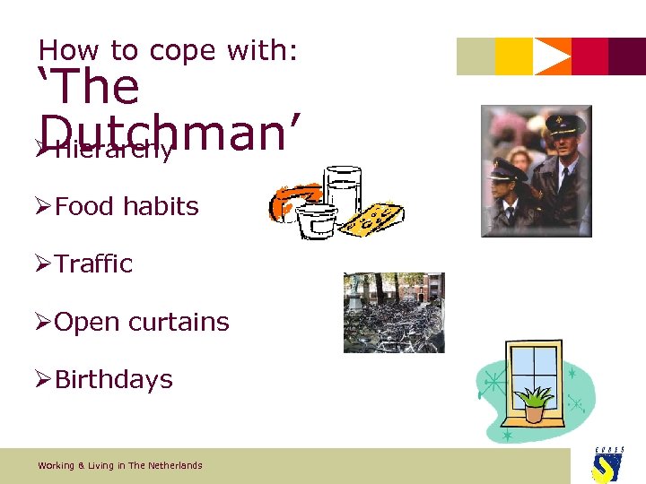 How to cope with: ‘The Dutchman’ ØHierarchy ØFood habits ØTraffic ØOpen curtains ØBirthdays Working