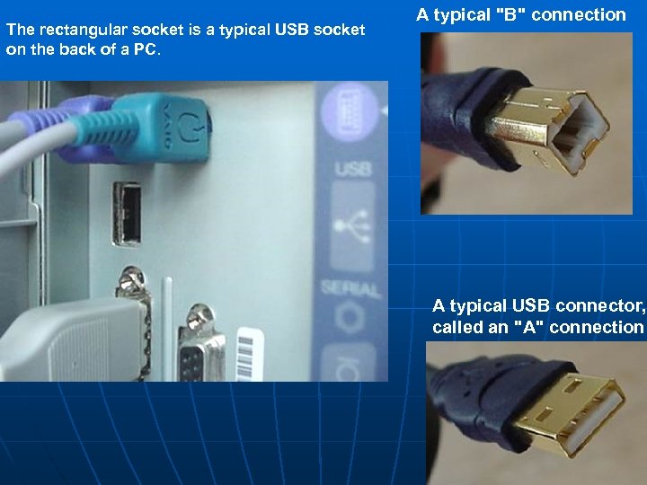 The rectangular socket is a typical USB socket on the back of a PC.