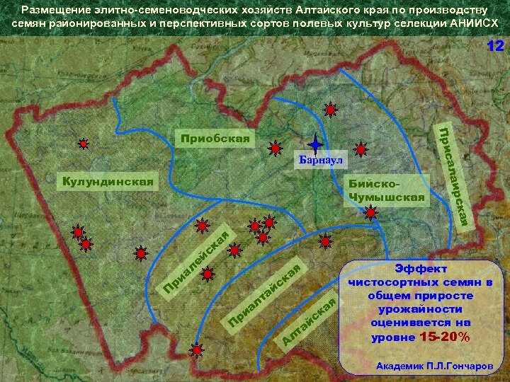 Размещение элитно-семеноводческих хозяйств Алтайского края по производству семян районированных и перспективных сортов полевых культур