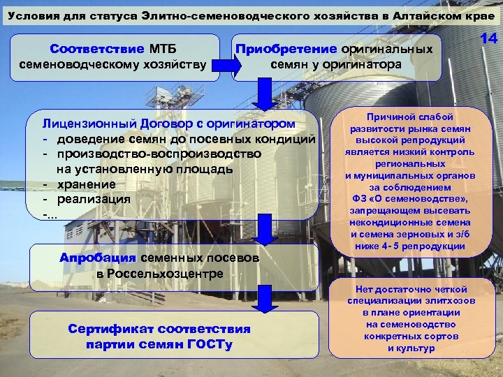 Условия для статуса Элитно-семеноводческого хозяйства в Алтайском крае Соответствие МТБ семеноводческому хозяйству Приобретение оригинальных