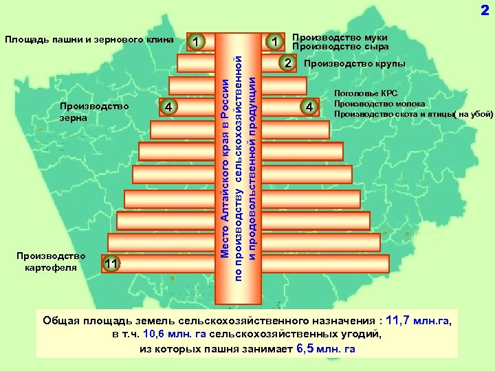 2 Производство зерна Производство картофеля 11 4 1 Производство муки Производство сыра 1 Место