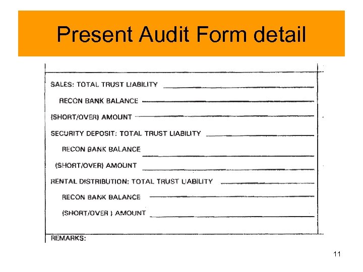 Present Audit Form detail 11 