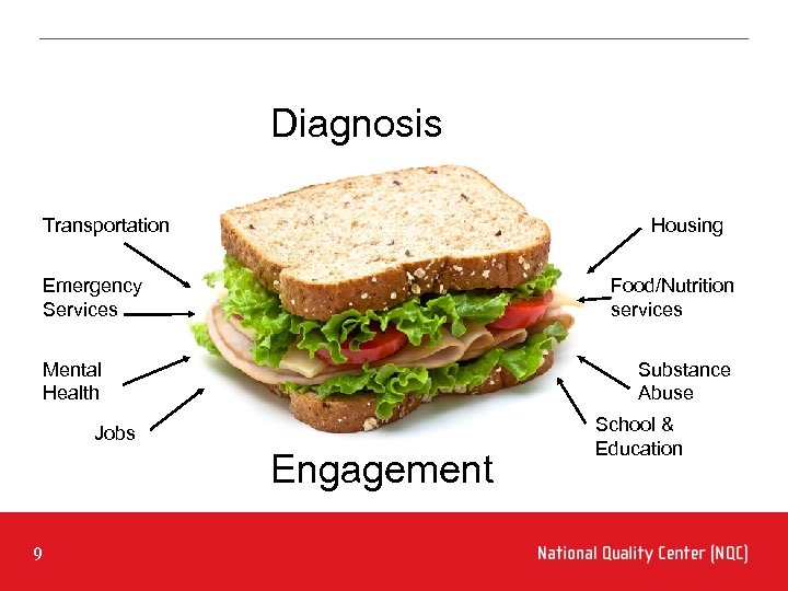 Diagnosis Transportation Housing Emergency Services Food/Nutrition services Mental Health Substance Abuse Jobs Engagement 9