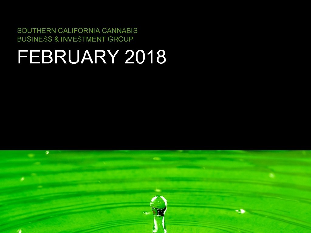 SOUTHERN CALIFORNIA CANNABIS BUSINESS & INVESTMENT GROUP FEBRUARY 2018 