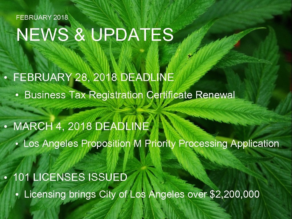 FEBRUARY 2018 NEWS & UPDATES • FEBRUARY 28, 2018 DEADLINE • Business Tax Registration