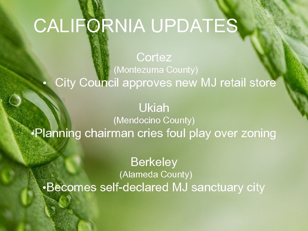 CALIFORNIA UPDATES Cortez (Montezuma County) • City Council approves new MJ retail store Ukiah