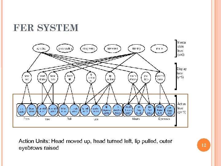 FER SYSTEM Action Units: Head moved up, head turned left, lip pulled, outer eyebrows