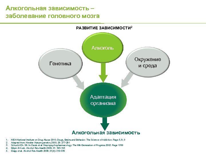Алкогольная зависимость – заболевание головного мозга РАЗВИТИЕ ЗАВИСИМОСТИ 2 Алкоголь Окружение и среда Генетика