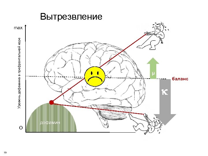 Уровень дофамина в префронтальной коре Вытрезвление max О 19 μ баланс дофамин 